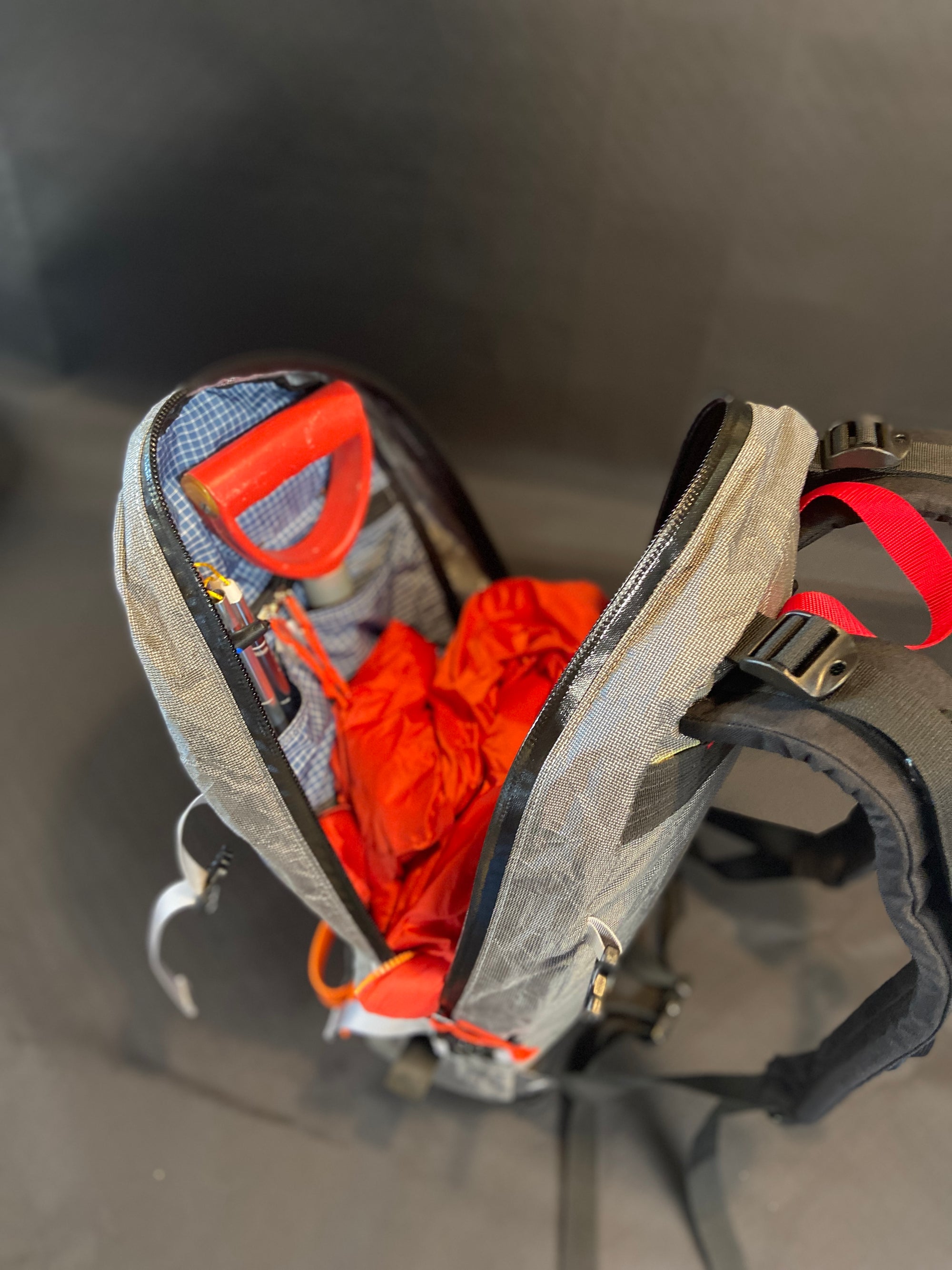 Higgs Boson Ski Pack - Alpine Luddites