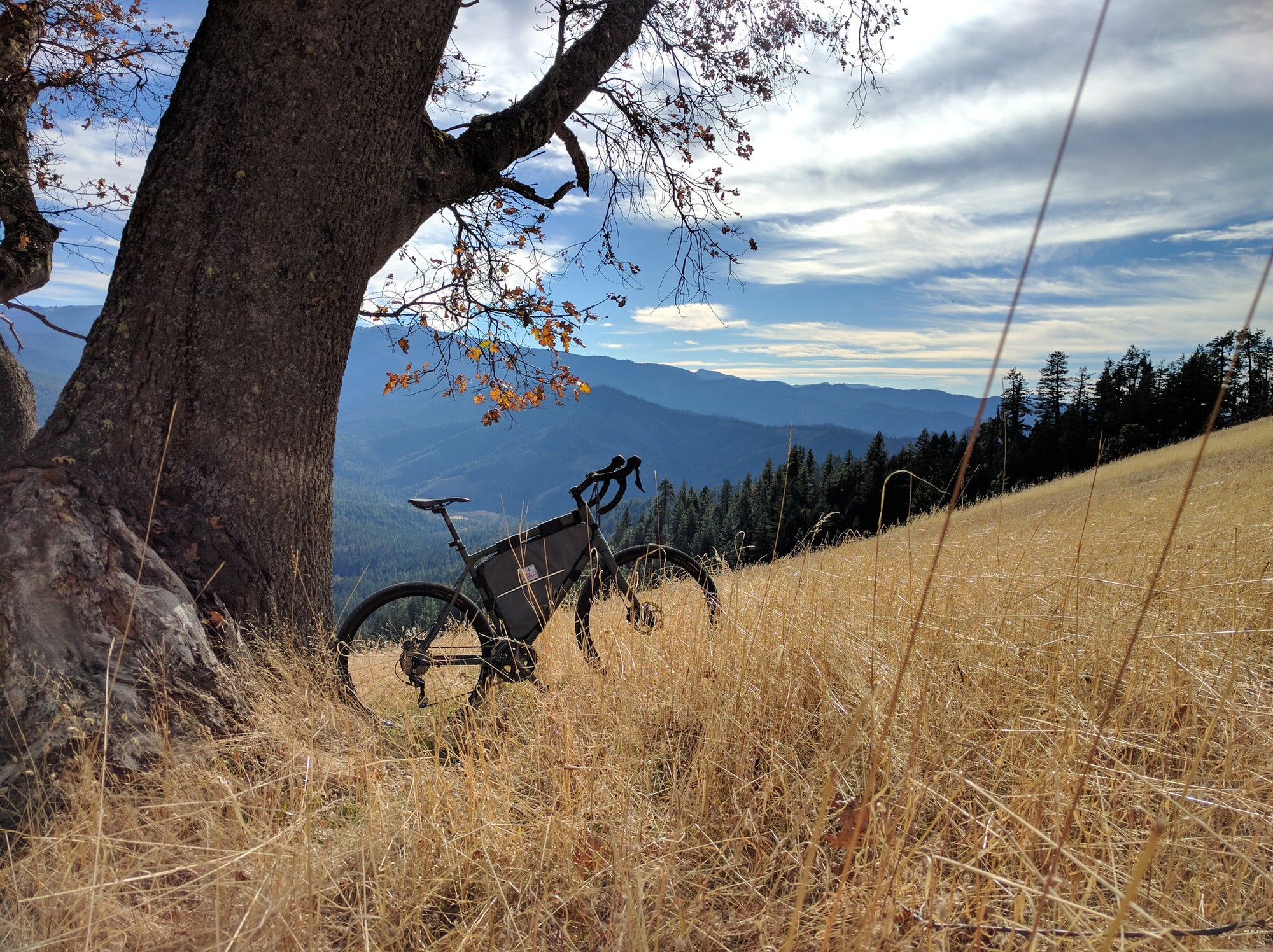 Custom Frame Bag-  Two Compartment - Alpine Luddites