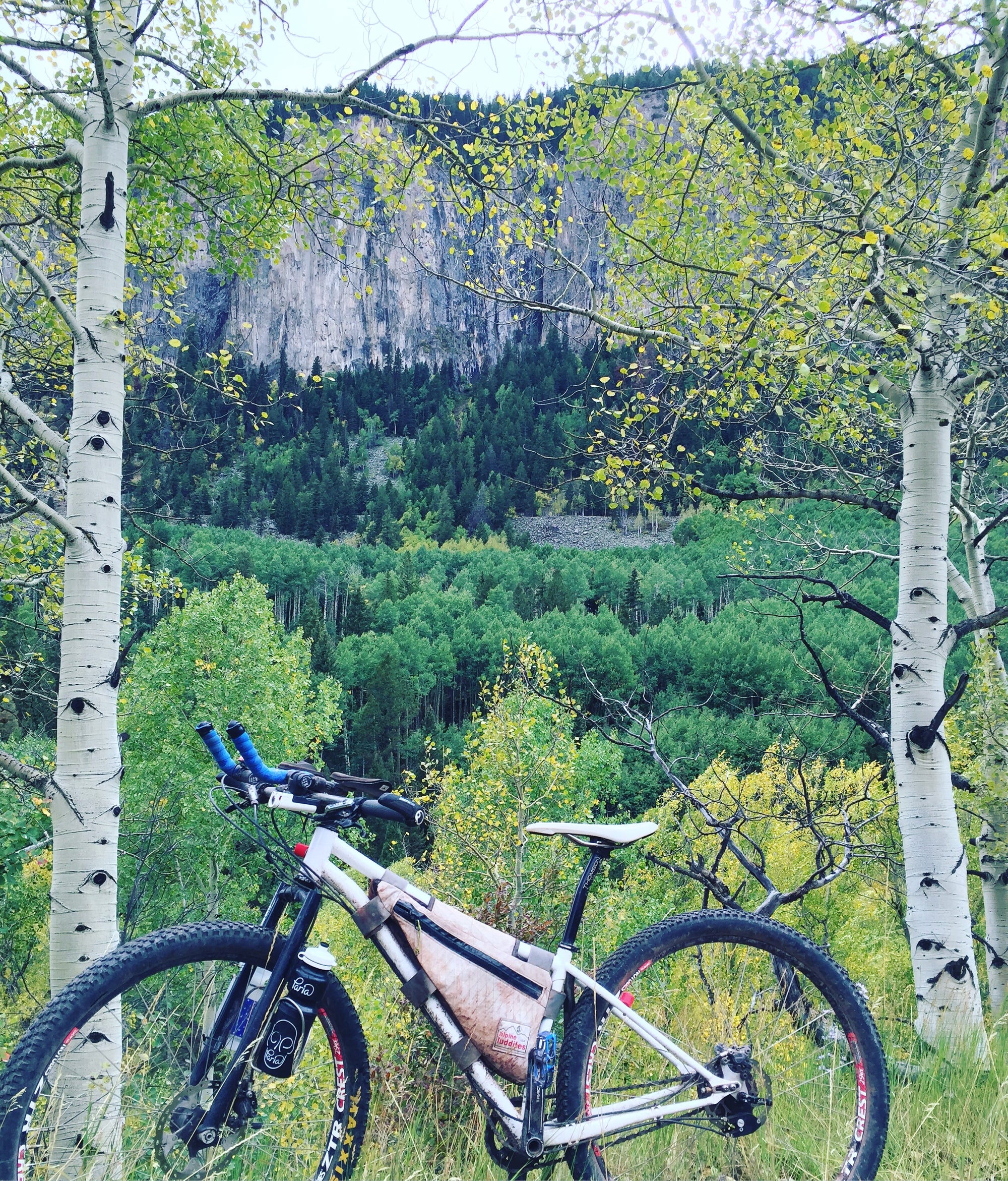 Custom Frame Bag Gallery - Alpine Luddites